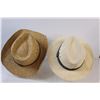 Image 2 : (2) Hats (One Size Fits All)