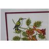Image 2 : Hummingbird Cross-stitch Picture Framed - 14"x14"