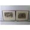 Image 1 : (2) Framed Prints by Steve Carter