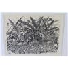 Image 2 : (2) Framed Prints by Steve Carter