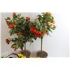 Image 5 : Faux Flowers and Garland, Halloween Decorations
