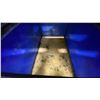 Image 2 : COMMERCIAL SALTWATER AQUARIUM ( APPROX. 18"W X 28"D X 16.5"H )