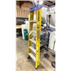 Image 2 : LOUISVILLE FS2006CA INDUSTRIAL 6' LADDER WITH A 250 LB CAPACITY