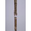 Image 5 : Pipe Tomahawk with Kiowa Sock, Ca 19th Century