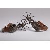Image 1 : Mexican Spurs with Figure Eight Shank design and large spiked Rowels