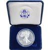 Image 3 : 2007-W Silver Eagle