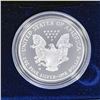 Image 2 : 2007-W Silver Eagle