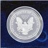 Image 2 : 2007-W Silver Eagle