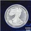 Image 1 : 2007-W Silver Eagle