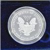 Image 2 : 2007-W Silver Eagle