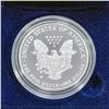 Image 2 : 2007-W Silver Eagle