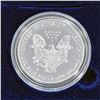 Image 2 : 2007-W Silver Eagle