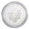 Image 2 : 2008-W Silver Eagle