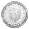 Image 2 : 2010-W Silver Eagle