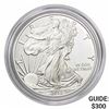 Image 1 : 2010-W Silver Eagle