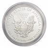 Image 2 : 2010-W Silver Eagle