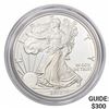 Image 1 : 2010-W Silver Eagle