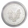 Image 2 : 2010-W Silver Eagle