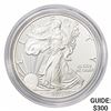 Image 1 : 2011-W Silver Eagle