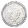 Image 2 : 2011-W Silver Eagle