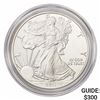 Image 1 : 2011-W Silver Eagle