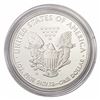Image 2 : 2011-W Silver Eagle