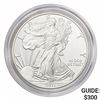 Image 1 : 2011-W Silver Eagle