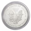 Image 2 : 2011-W Silver Eagle