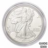 Image 1 : 2011-W Silver Eagle