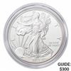 Image 1 : 2013-W Silver Eagle