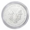 Image 2 : 2013-W Silver Eagle