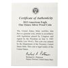 Image 4 : 2013-W Silver Eagle