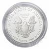 Image 2 : 2013-W Silver Eagle