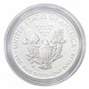 Image 2 : 2013-W Silver Eagle