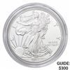 Image 1 : 2013-W Silver Eagle