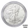 Image 1 : 2013-W Silver Eagle