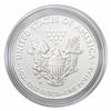 Image 2 : 2013-W Silver Eagle