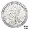 Image 1 : 2014-W Silver Eagle