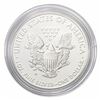 Image 2 : 2015-W Silver Eagle