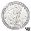 2015-W Silver Eagle