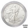 2015-W Silver Eagle
