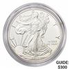 Image 1 : 2016-W Silver Eagle