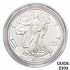 2016-W Silver Eagle
