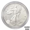 2017-W Silver Eagle