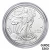 2017-W Silver Eagle