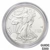 2017-W Silver Eagle