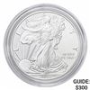 Image 1 : 2019-W Silver Eagle