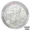 Image 1 : 2019-W Silver Eagle