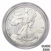 Image 1 : 2019-W Silver Eagle