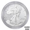 Image 1 : 2019-S Silver Eagle